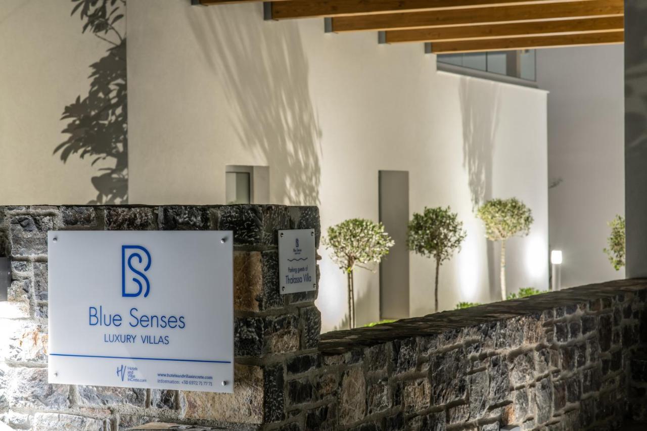 Blue Senses Villas Ágios Nikólaos Eksteriør billede